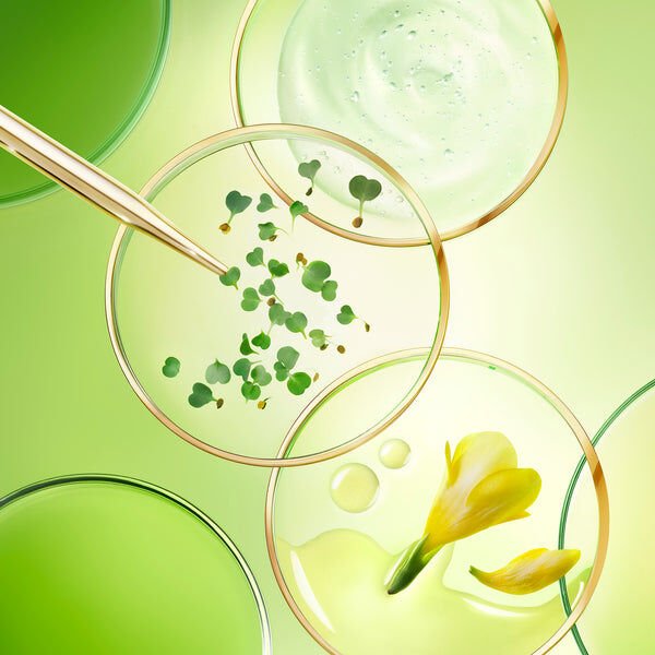 Nuxe Nuxuriance Ultra Anti Aging Rich Cream 50 ml