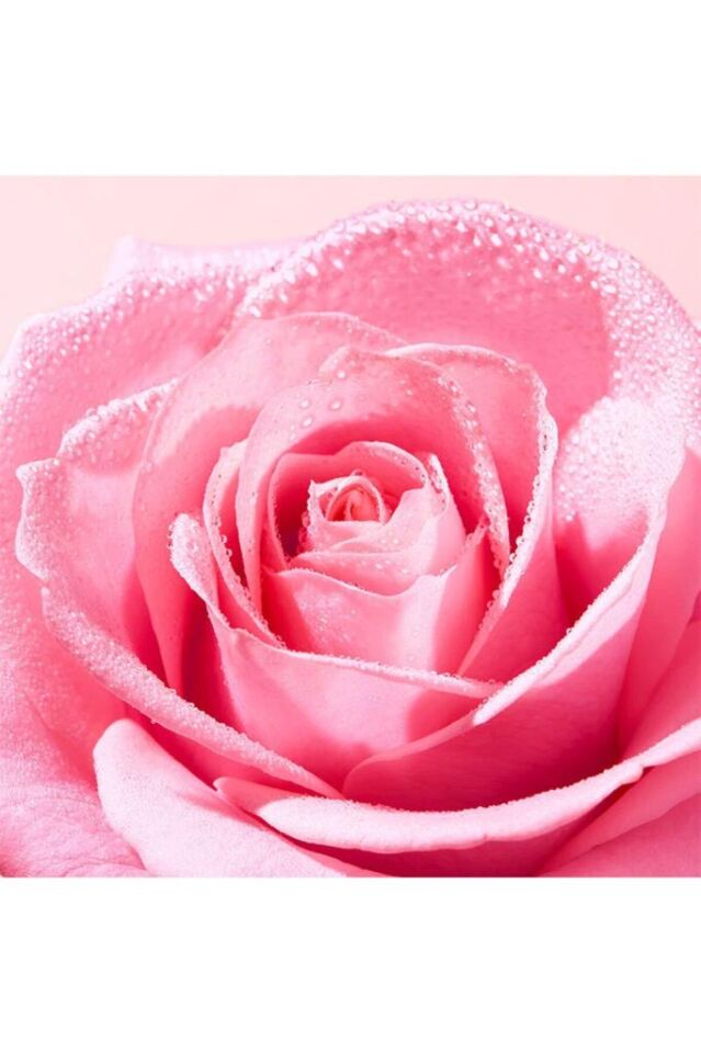 Nuxe Very Rose Soothing Cleansing Gel 150 ml