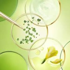 Nuxe Nuxuriance Ultra Göz ve Dudak Kremi 15 ml