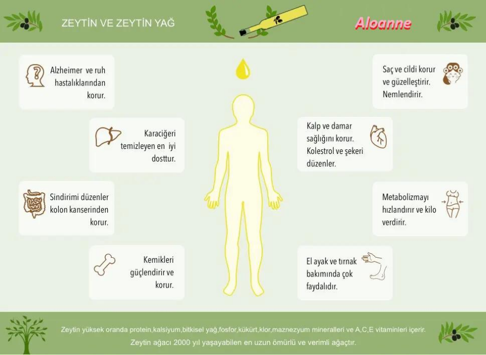Antalya Naturel Zeytinyağı 1 Lt Teneke