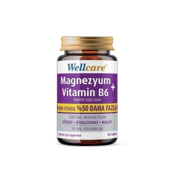 Wellcare Magnezyum + Vitamin B6 90 Tablet