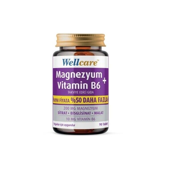Wellcare Magnezyum + Vitamin B6 90 Tablet