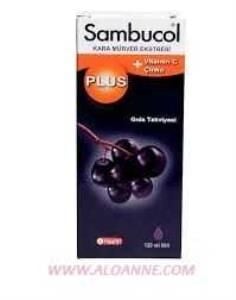 Sambucol Plus Black Elderberry Extract Şurup 120 ml